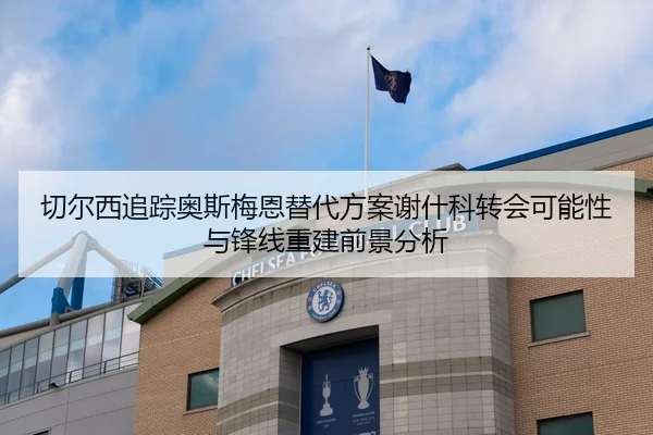 切尔西追踪奥斯梅恩替代方案谢什科转会可能性与锋线重建前景分析（kaiyun）